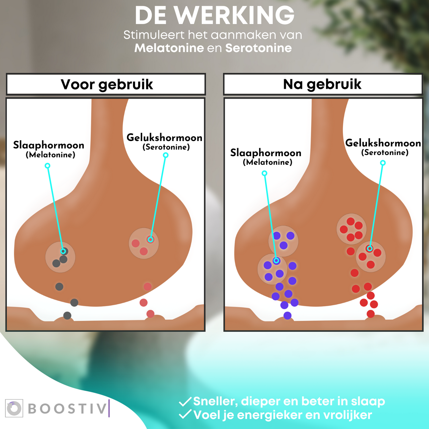 Boostiv® Sleep & Focus - Bevordering melatonine en serotonine aanmaak - Frequentietherapie - Slaaphulp - Tegen Depressie