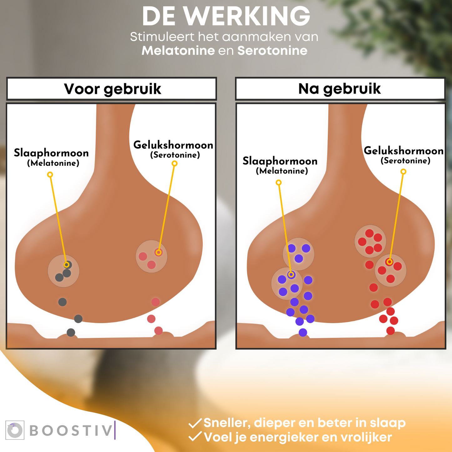 Boostiv® Sleep & Focus - Bevordering melatonine en serotonine aanmaak - Frequentietherapie - Slaaphulp - Tegen Depressie